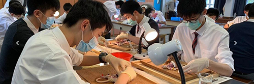 香港中學申請|香港中學|香港升學|香港秋季插班|香港|香港Band1中學