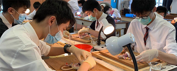 香港|香港DSE|香港插班|DSE|香港DSE報考人數|港八大|港前三|內地港寶|香港新移民|新來港家庭|香港Band1中學|香港小學|香港中學|香港插班申請|香港升中|深圳香港培僑書院龍華信義學校|深圳培僑|廣州暨大港澳子弟學校|廣州暨大|