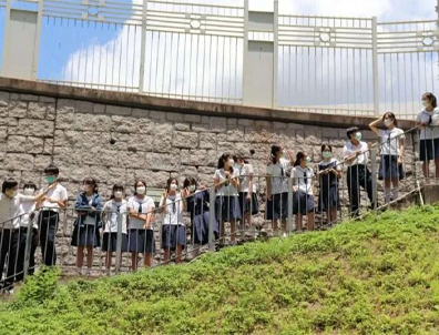 香港插班，DSE和A-Level，哪個更容易考港八大？看完我徹底悟了！